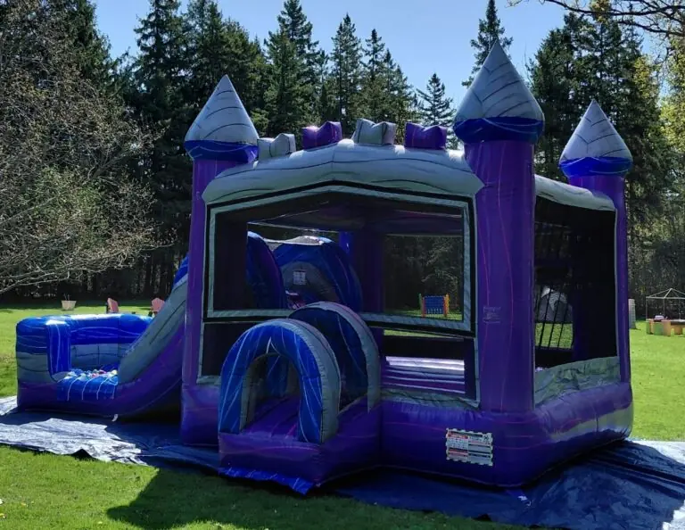 Waterslide Rental